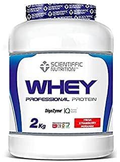 Proteína Whey Professional 1.0 Scientiffic Nutrition 2kg
